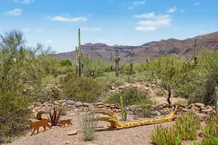 10196 E Open Sky Dr, Gold Canyon, AZ 85118 - Photo 44