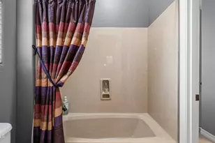 2442 E Plum St, Gilbert, AZ 85298 - Photo 46