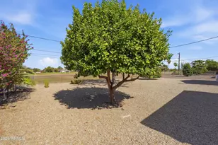 10226 W Palmer Dr, Sun City, AZ 85351 - Photo 38