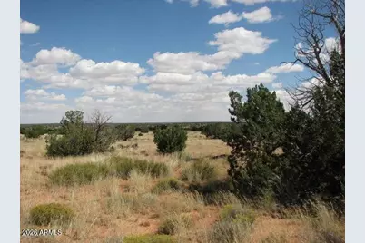 985 Ellsworth Drive #507, Heber, AZ 85928 - Photo 4