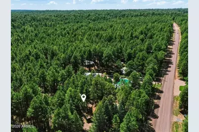 1640 Sheep Springs Road, Forest Lakes, AZ 85931 - Photo 40