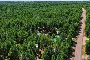 1640 Sheep Springs Rd, Forest Lakes, AZ 85931 - Photo 40