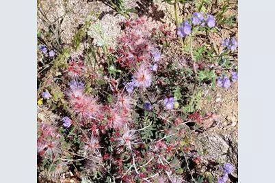 0 S Bent Spur Road #69-B, Congress, AZ 85332 - Photo 24