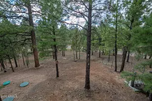 3139 W Hopi Dr, Happy Jack, AZ 86024 - Photo 2