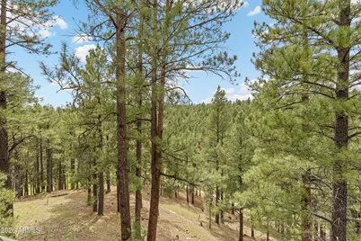 2354 Link Smith --, Flagstaff, AZ 86005 - Photo 48