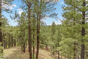 2354 Link Smith, Flagstaff, AZ 86005 - Photo 48