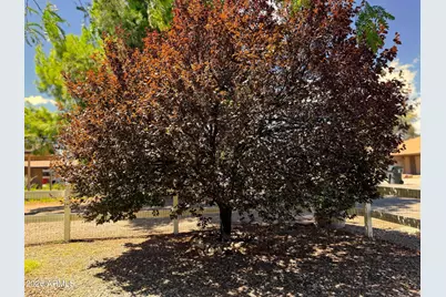 4381 E Butte Drive, Cottonwood, AZ 86326 - Photo 26
