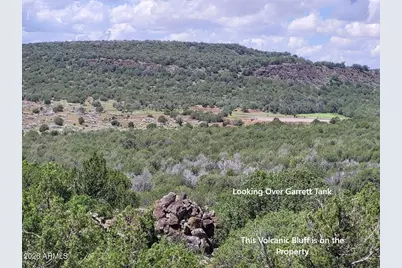 1017 S Flat Tire Road #1017, Williams, AZ 86046 - Photo 8
