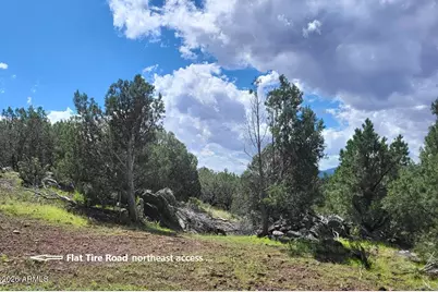 1017 S Flat Tire Road #1017, Williams, AZ 86046 - Photo 4
