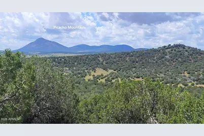 1017 S Flat Tire Road #1017, Williams, AZ 86046 - Photo 2