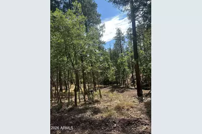 15 N Buttermilk Lane #52, Alpine, AZ 85920 - Photo 6
