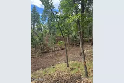 15 N Buttermilk Lane #52, Alpine, AZ 85920 - Photo 4