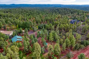 4895 Rim Spur, Lakeside, AZ 85929 - Photo 30