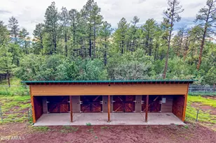 4895 Rim Spur, Lakeside, AZ 85929 - Photo 22