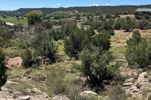 2682 Old School House Rd, Show Low, AZ 85901 - Photo 1