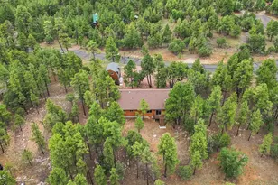 4729 Stallion Rd, Happy Jack, AZ 86024 - Photo 42
