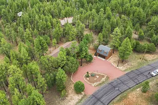 4729 Stallion Rd, Happy Jack, AZ 86024 - Photo 44