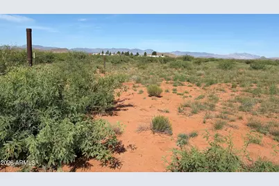 Tbd Tyler Miles Road #8, Sunsites, AZ 85625 - Photo 14