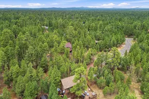 2150 Dakota Cir, Happy Jack, AZ 86024 - Photo 44