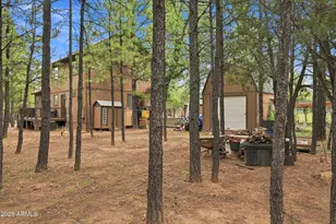 2150 Dakota Cir, Happy Jack, AZ 86024 - Photo 38