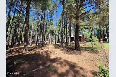 2644 Summer Loop, Forest Lakes, AZ 85931 - Photo 6