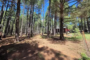 2644 Summer Loop, Forest Lakes, AZ 85931 - Photo 6