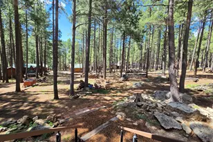 2644 Summer Loop, Forest Lakes, AZ 85931 - Photo 26