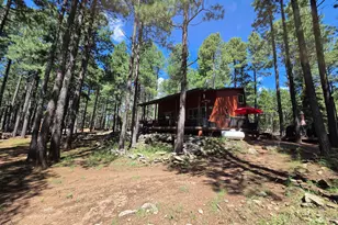 2644 Summer Loop, Forest Lakes, AZ 85931 - Photo 4
