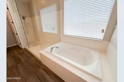 13724 W Harvest Avenue, Litchfield Park, AZ 85340 - Photo 28