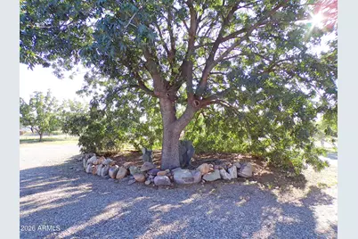 5760 S Mesquite Tree Lane, Hereford, AZ 85615 - Photo 6