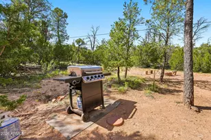 1932 Aspen Ln, Overgaard, AZ 85933 - Photo 44