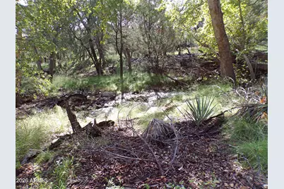 0 E Ransey Canyon Road #-, Hereford, AZ 85615 - Photo 16