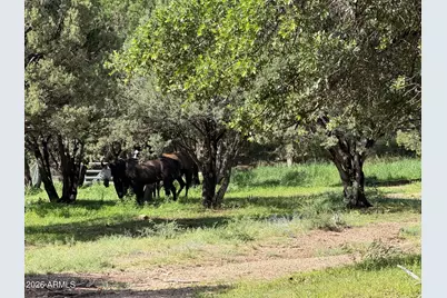 0 E Ransey Canyon Road #-, Hereford, AZ 85615 - Photo 8