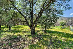 5335 E Brushy Oak Ln, Hereford, AZ 85615 - Photo 48