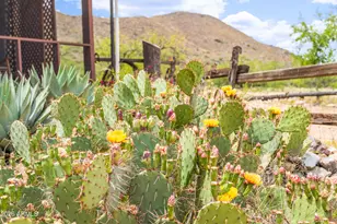 7101 E White Pacheco St, Willcox, AZ 85643 - Photo 46