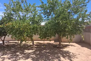 8039 S 25th St, Phoenix, AZ 85042 - Photo 10