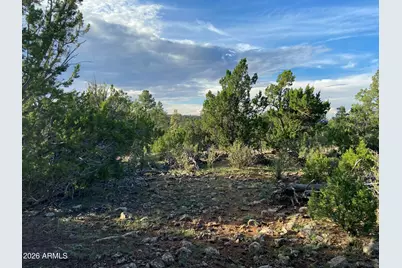 4897 NW Sunset Ridge Loop Loop #184, Happy Jack, AZ 86024 - Photo 18