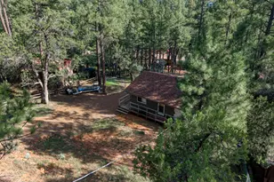 8317 W Eagle Dr, Pine, AZ 85544 - Photo 4