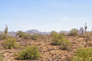 10827 N Sonora Vista, Fountain Hills, AZ 85268 - Photo 52