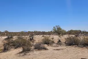 11761 N Abel Pl, Florence, AZ 85132 - Photo 32