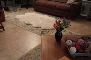 10113 W Campana Dr, Sun City, AZ 85351 - Photo 4