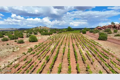 14 Cr 5309 --, Concho, AZ 85924 - Photo 52