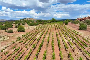 14 CR 5309, Concho, AZ 85924 - Photo 52