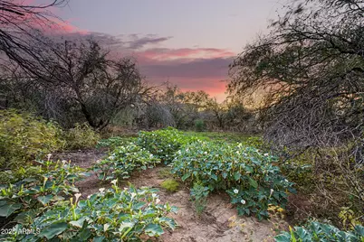 2171 W Running Deer Drive, Queen Valley, AZ 85118 - Photo 46