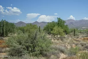 18328 E Spring Valley Ct, Rio Verde, AZ 85263 - Photo 34