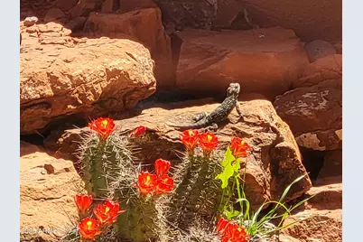 55 Corte Banca --, Sedona, AZ 86351 - Photo 46