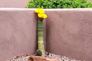 55 Corte Banca, Sedona, AZ 86351 - Photo 42