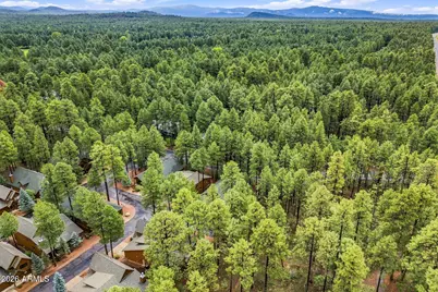 3915 Elk Hollow Drive, Pinetop, AZ 85935 - Photo 44
