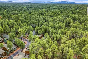 3915 Elk Hollow Dr, Pinetop, AZ 85935 - Photo 44