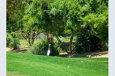 7156 E Oakmont Drive, Paradise Valley, AZ 85253 - Photo 50